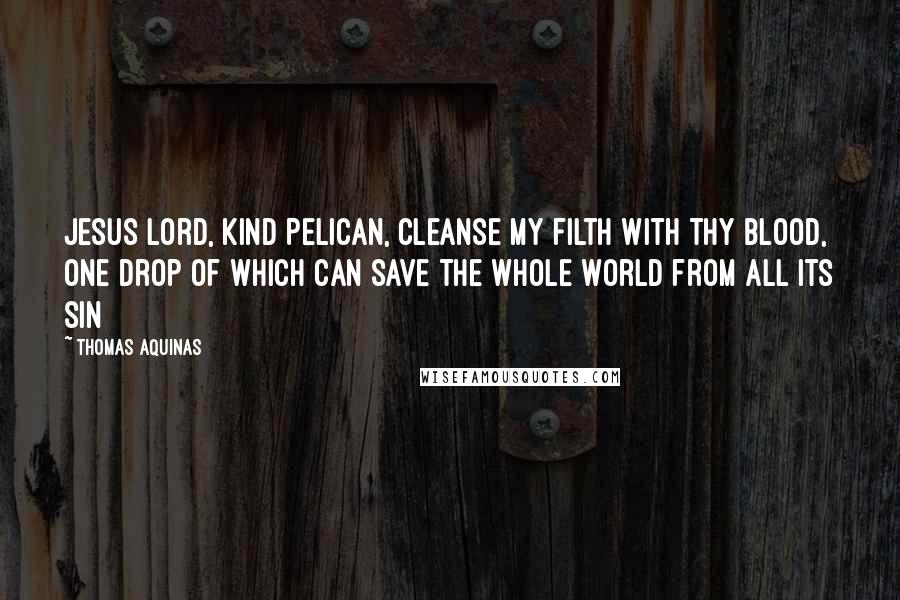 Thomas Aquinas Quotes: Jesus Lord, kind Pelican, Cleanse my filth with Thy blood, One drop of which can save The whole world from all its sin