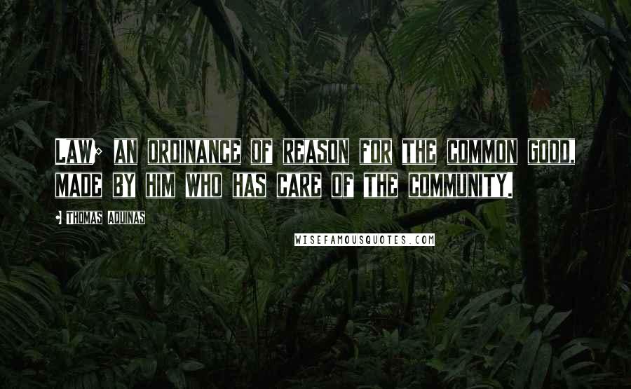 Thomas Aquinas Quotes: Law; an ordinance of reason for the common good, made by him who has care of the community.