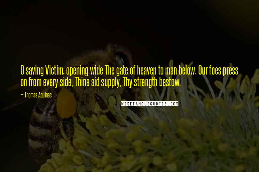 Thomas Aquinas Quotes: O saving Victim, opening wide The gate of heaven to man below, Our foes press on from every side, Thine aid supply, Thy strength bestow.