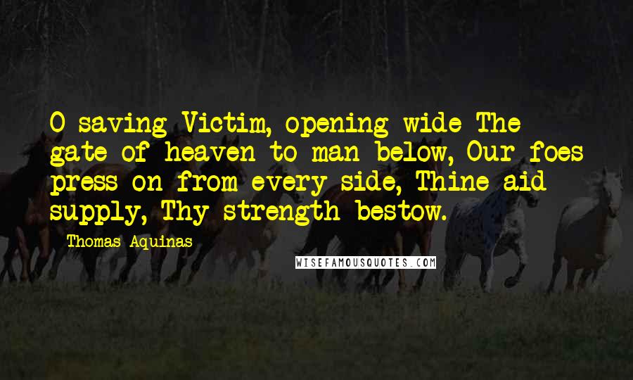 Thomas Aquinas Quotes: O saving Victim, opening wide The gate of heaven to man below, Our foes press on from every side, Thine aid supply, Thy strength bestow.