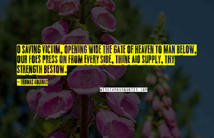 Thomas Aquinas Quotes: O saving Victim, opening wide The gate of heaven to man below, Our foes press on from every side, Thine aid supply, Thy strength bestow.