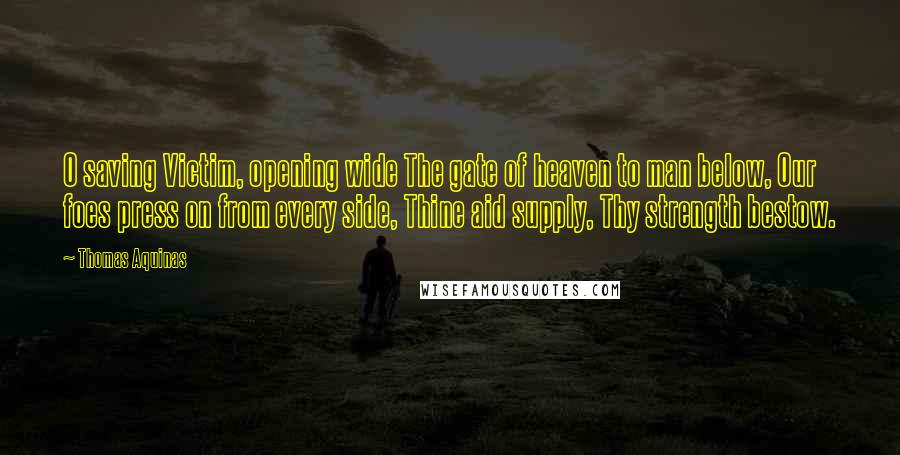 Thomas Aquinas Quotes: O saving Victim, opening wide The gate of heaven to man below, Our foes press on from every side, Thine aid supply, Thy strength bestow.