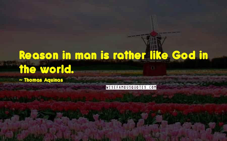 Thomas Aquinas Quotes: Reason in man is rather like God in the world.