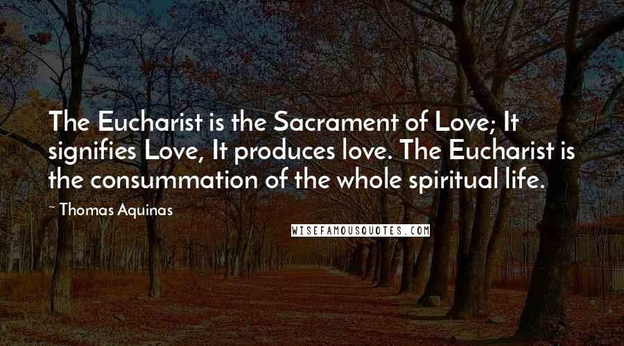 Thomas Aquinas Quotes: The Eucharist is the Sacrament of Love; It signifies Love, It produces love. The Eucharist is the consummation of the whole spiritual life.