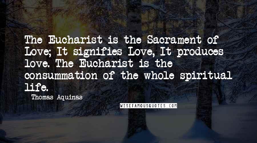 Thomas Aquinas Quotes: The Eucharist is the Sacrament of Love; It signifies Love, It produces love. The Eucharist is the consummation of the whole spiritual life.