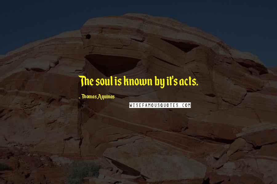 Thomas Aquinas Quotes: The soul is known by it's acts.