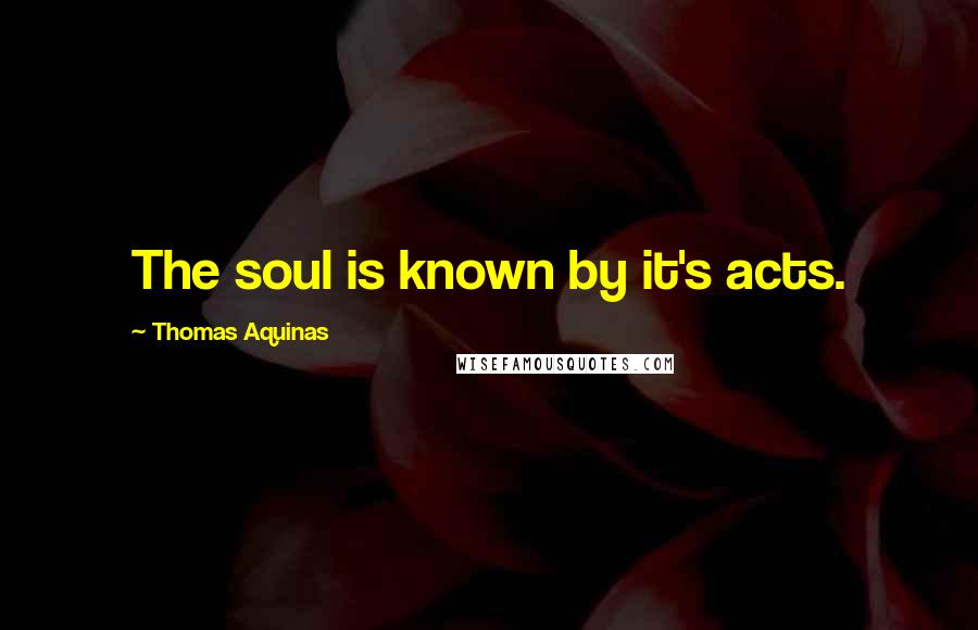 Thomas Aquinas Quotes: The soul is known by it's acts.