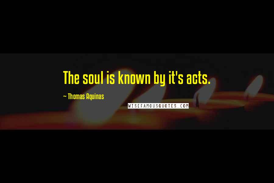 Thomas Aquinas Quotes: The soul is known by it's acts.