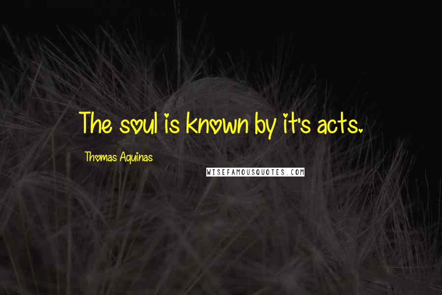 Thomas Aquinas Quotes: The soul is known by it's acts.