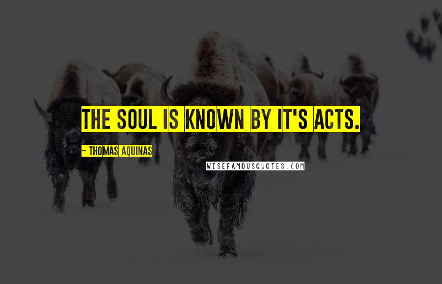 Thomas Aquinas Quotes: The soul is known by it's acts.