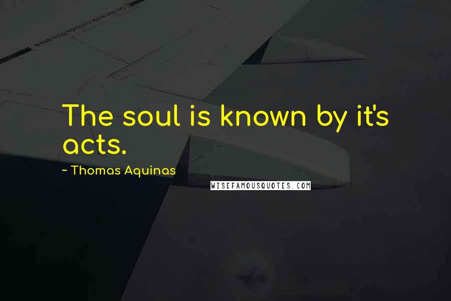 Thomas Aquinas Quotes: The soul is known by it's acts.