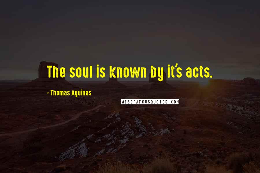 Thomas Aquinas Quotes: The soul is known by it's acts.