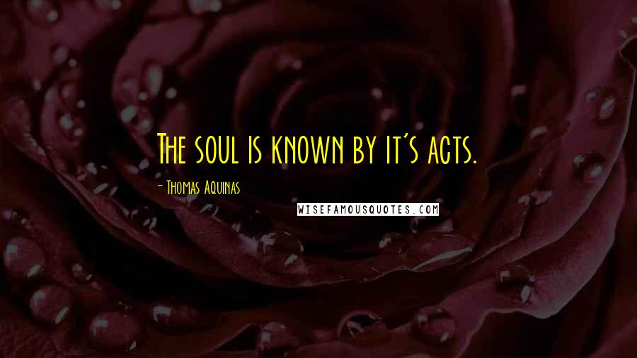 Thomas Aquinas Quotes: The soul is known by it's acts.