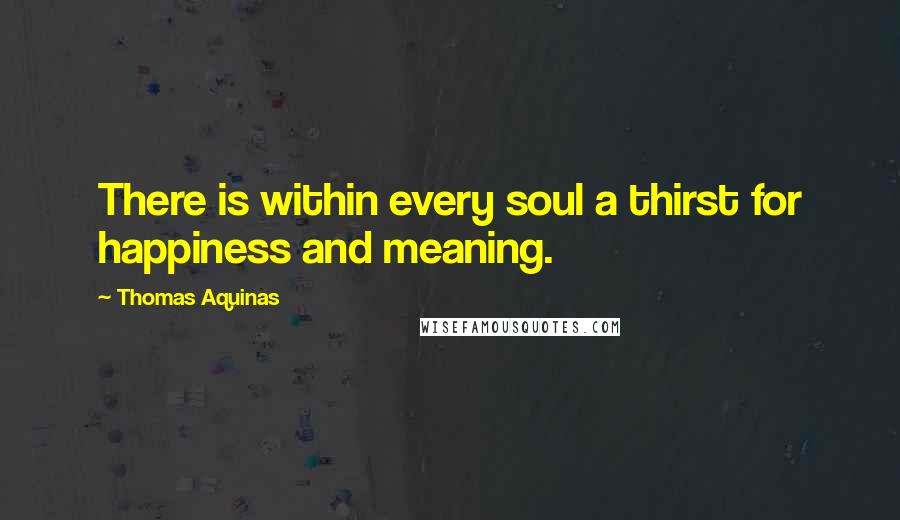 Thomas Aquinas Quotes: There is within every soul a thirst for happiness and meaning.