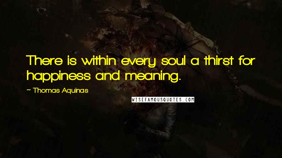 Thomas Aquinas Quotes: There is within every soul a thirst for happiness and meaning.