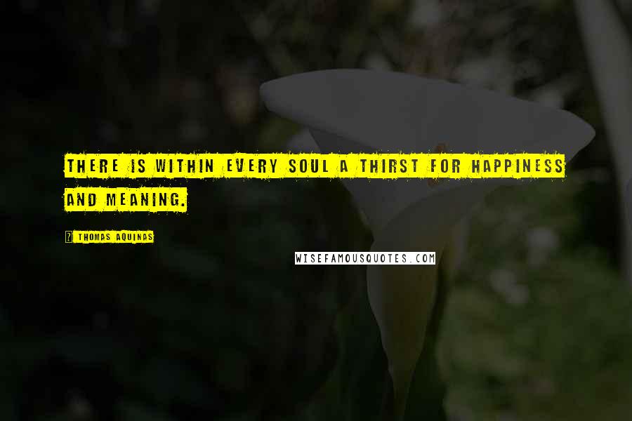 Thomas Aquinas Quotes: There is within every soul a thirst for happiness and meaning.