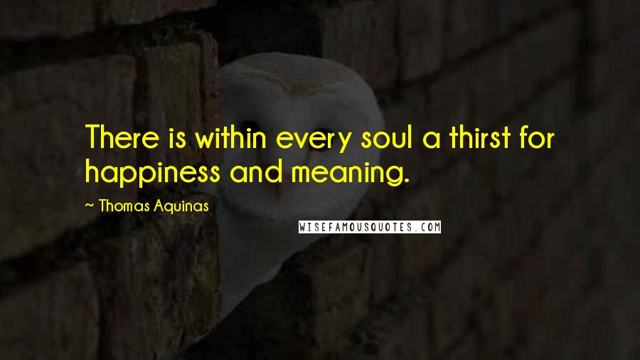 Thomas Aquinas Quotes: There is within every soul a thirst for happiness and meaning.