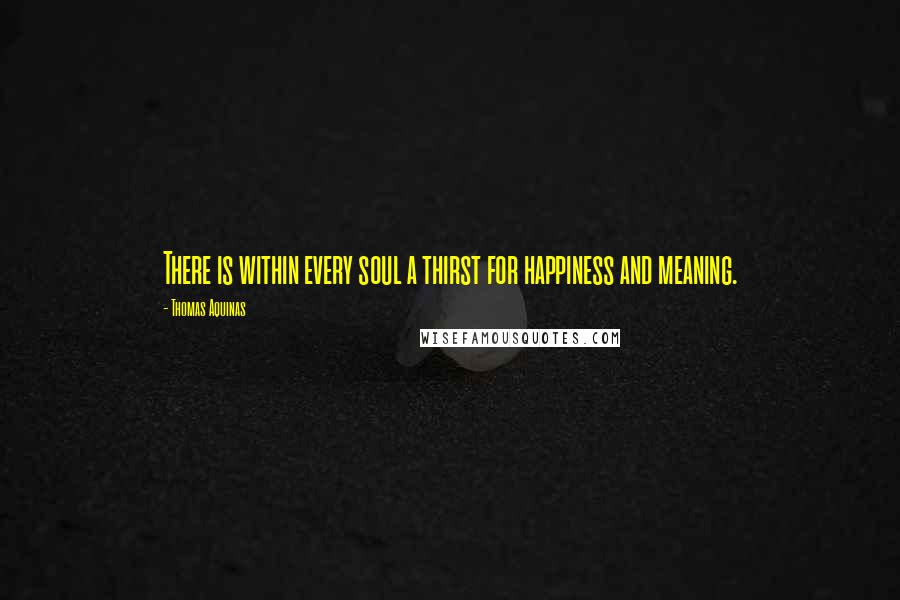 Thomas Aquinas Quotes: There is within every soul a thirst for happiness and meaning.