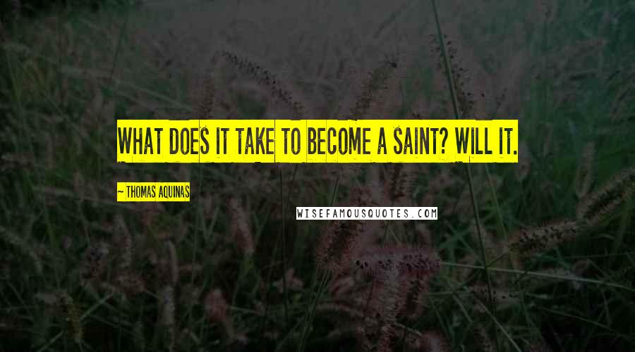 Thomas Aquinas Quotes: What does it take to become a saint? Will it.