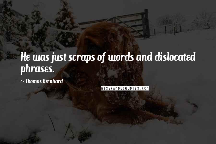 Thomas Bernhard Quotes: He was just scraps of words and dislocated phrases.