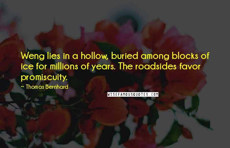 Thomas Bernhard Quotes: Weng lies in a hollow, buried among blocks of ice for millions of years. The roadsides favor promiscuity.
