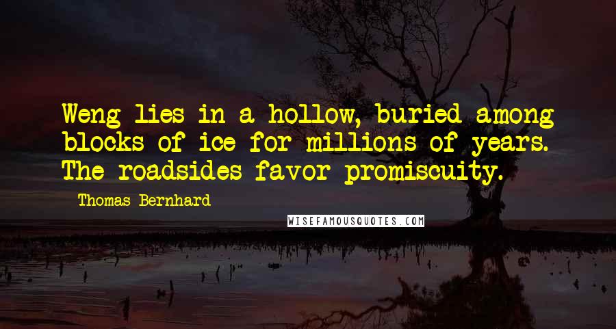 Thomas Bernhard Quotes: Weng lies in a hollow, buried among blocks of ice for millions of years. The roadsides favor promiscuity.