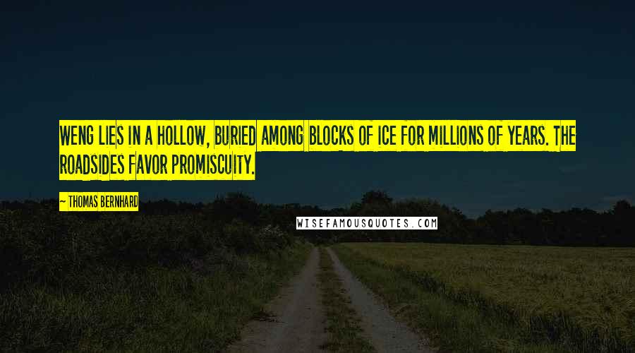 Thomas Bernhard Quotes: Weng lies in a hollow, buried among blocks of ice for millions of years. The roadsides favor promiscuity.