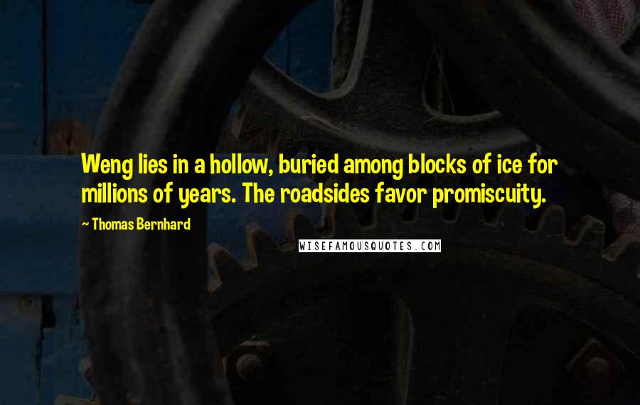 Thomas Bernhard Quotes: Weng lies in a hollow, buried among blocks of ice for millions of years. The roadsides favor promiscuity.