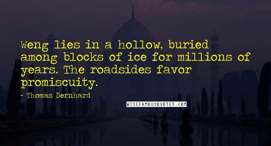 Thomas Bernhard Quotes: Weng lies in a hollow, buried among blocks of ice for millions of years. The roadsides favor promiscuity.