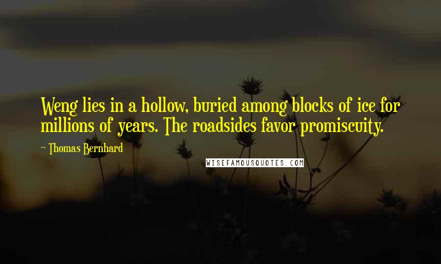 Thomas Bernhard Quotes: Weng lies in a hollow, buried among blocks of ice for millions of years. The roadsides favor promiscuity.