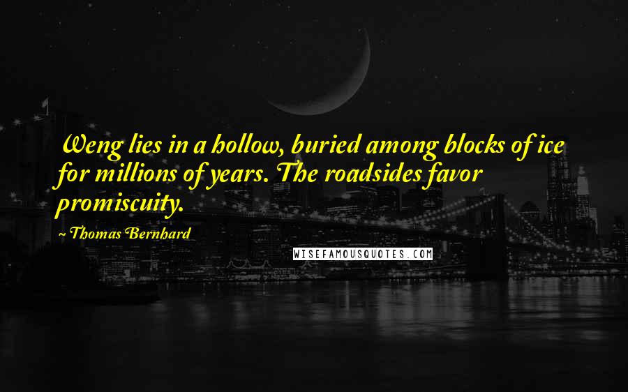 Thomas Bernhard Quotes: Weng lies in a hollow, buried among blocks of ice for millions of years. The roadsides favor promiscuity.