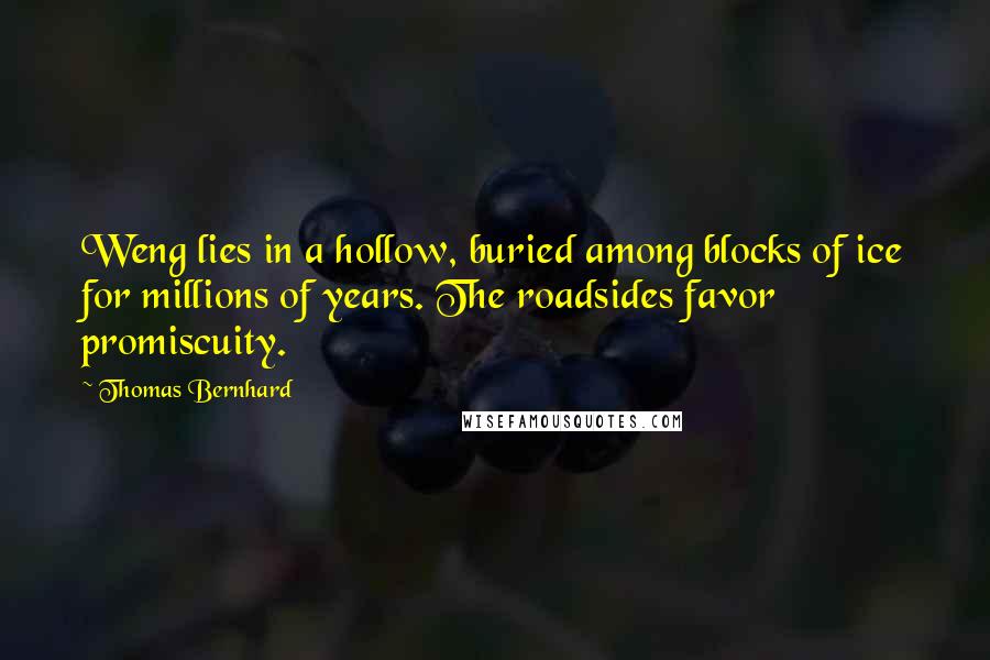 Thomas Bernhard Quotes: Weng lies in a hollow, buried among blocks of ice for millions of years. The roadsides favor promiscuity.