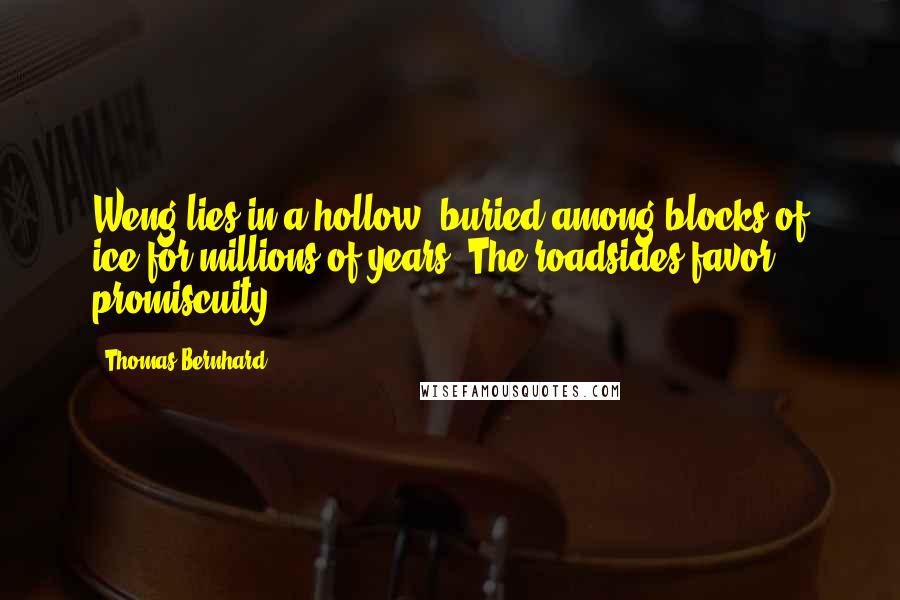 Thomas Bernhard Quotes: Weng lies in a hollow, buried among blocks of ice for millions of years. The roadsides favor promiscuity.