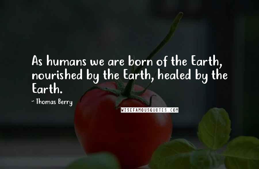 Thomas Berry Quotes: As humans we are born of the Earth, nourished by the Earth, healed by the Earth.