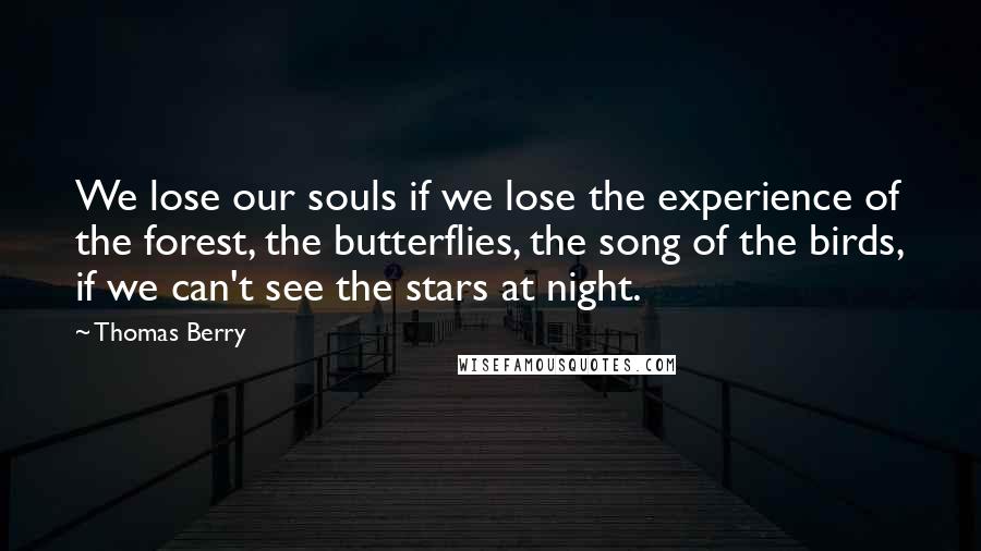 Thomas Berry Quotes: We lose our souls if we lose the experience of the forest, the butterflies, the song of the birds, if we can't see the stars at night.