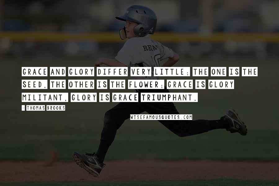 Thomas Brooks Quotes: Grace and glory differ very little; the one is the seed, the other is the flower; grace is glory militant, glory is grace triumphant.