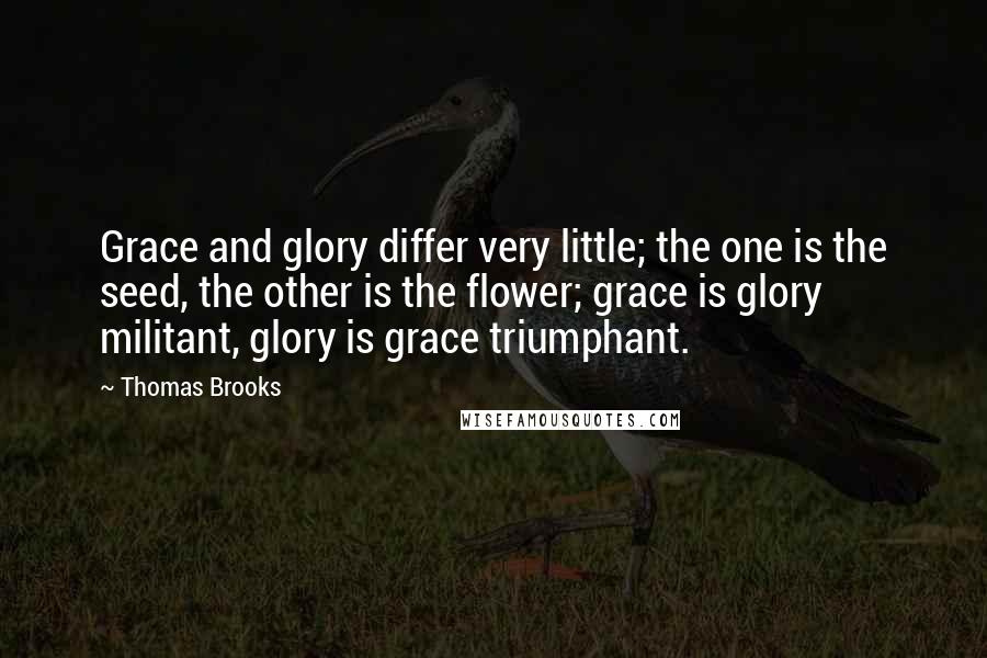 Thomas Brooks Quotes: Grace and glory differ very little; the one is the seed, the other is the flower; grace is glory militant, glory is grace triumphant.