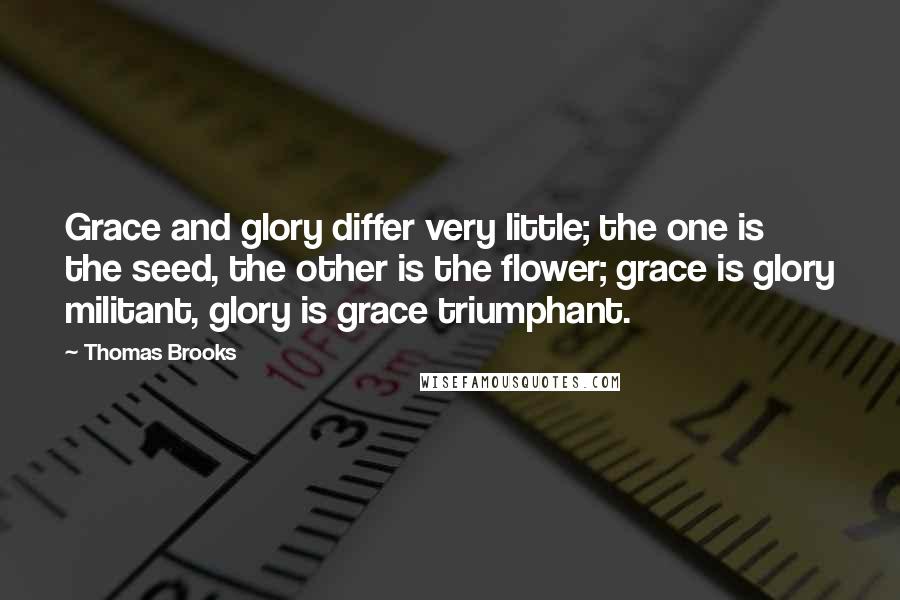 Thomas Brooks Quotes: Grace and glory differ very little; the one is the seed, the other is the flower; grace is glory militant, glory is grace triumphant.