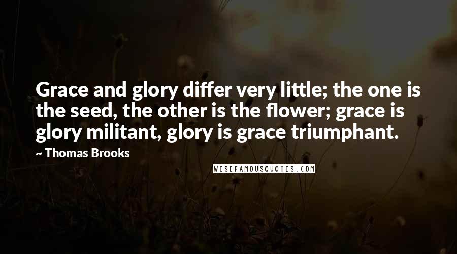 Thomas Brooks Quotes: Grace and glory differ very little; the one is the seed, the other is the flower; grace is glory militant, glory is grace triumphant.