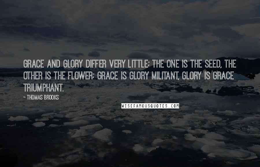 Thomas Brooks Quotes: Grace and glory differ very little; the one is the seed, the other is the flower; grace is glory militant, glory is grace triumphant.