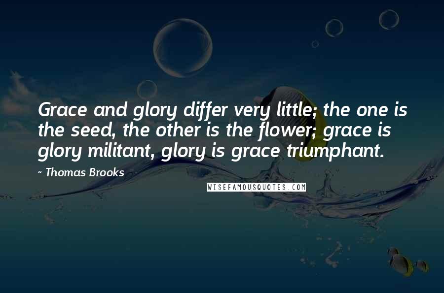 Thomas Brooks Quotes: Grace and glory differ very little; the one is the seed, the other is the flower; grace is glory militant, glory is grace triumphant.