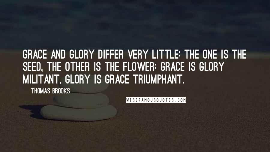 Thomas Brooks Quotes: Grace and glory differ very little; the one is the seed, the other is the flower; grace is glory militant, glory is grace triumphant.