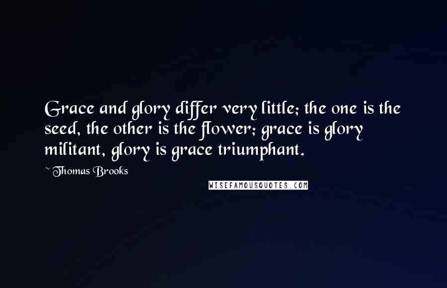 Thomas Brooks Quotes: Grace and glory differ very little; the one is the seed, the other is the flower; grace is glory militant, glory is grace triumphant.