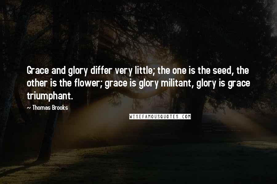 Thomas Brooks Quotes: Grace and glory differ very little; the one is the seed, the other is the flower; grace is glory militant, glory is grace triumphant.