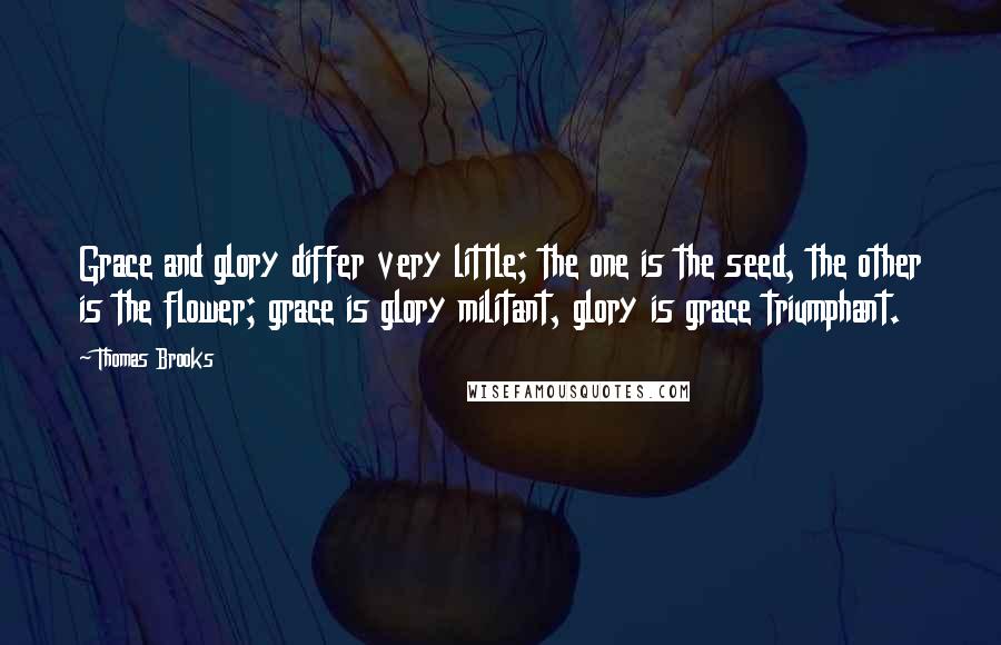 Thomas Brooks Quotes: Grace and glory differ very little; the one is the seed, the other is the flower; grace is glory militant, glory is grace triumphant.