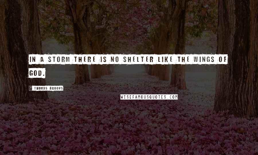 Thomas Brooks Quotes: In a storm there is no shelter like the wings of God.