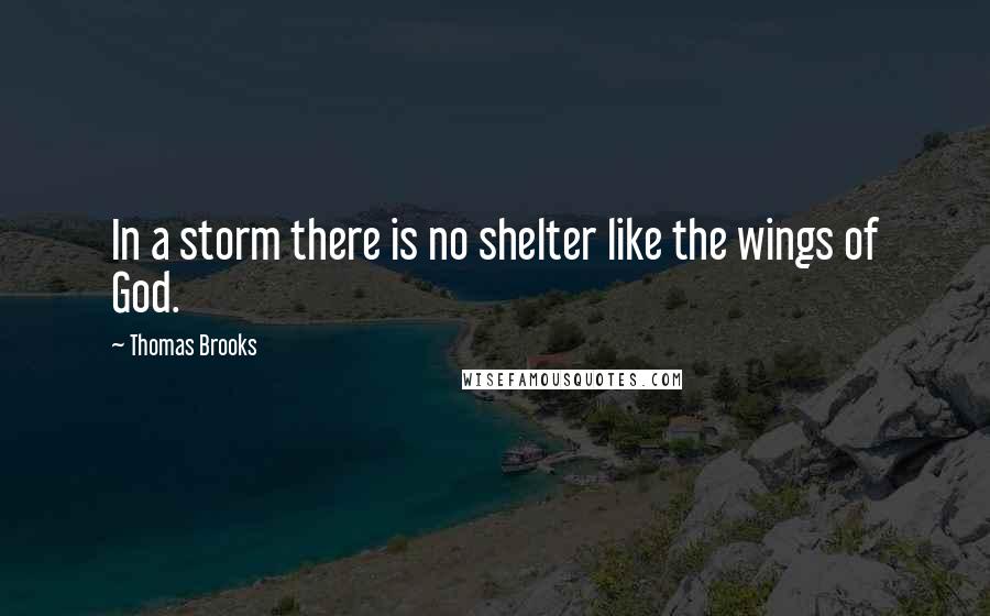 Thomas Brooks Quotes: In a storm there is no shelter like the wings of God.