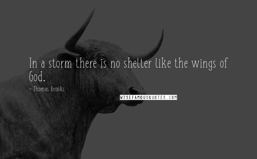 Thomas Brooks Quotes: In a storm there is no shelter like the wings of God.
