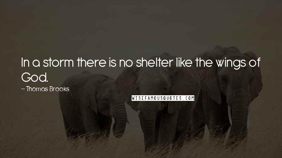 Thomas Brooks Quotes: In a storm there is no shelter like the wings of God.