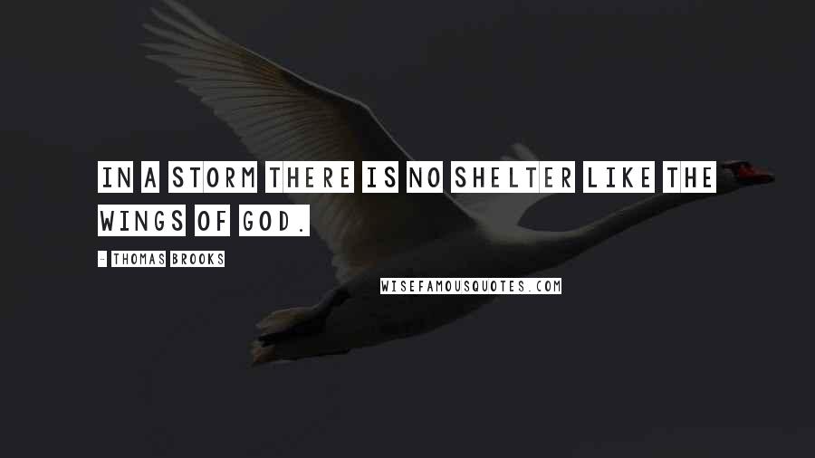 Thomas Brooks Quotes: In a storm there is no shelter like the wings of God.